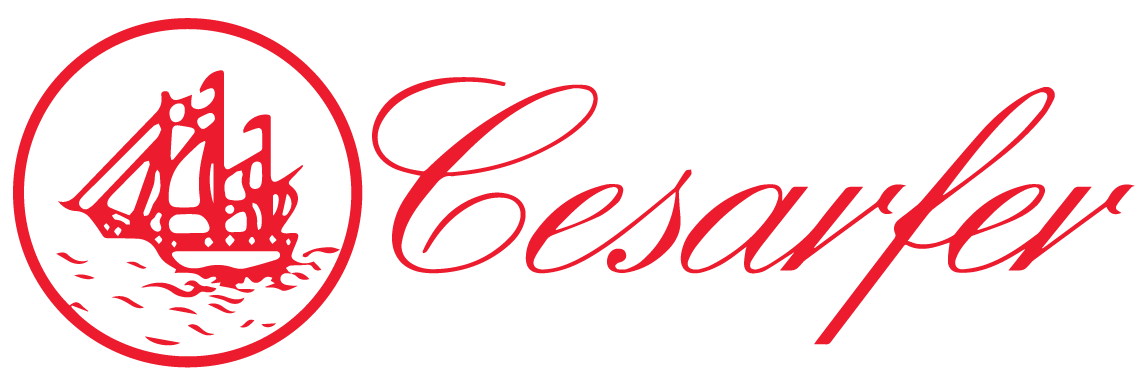 Cesafer logo